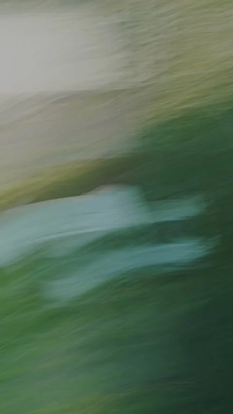 Abstract background with diagonal motion blur in green and beige tones. Stock Footage 341262594