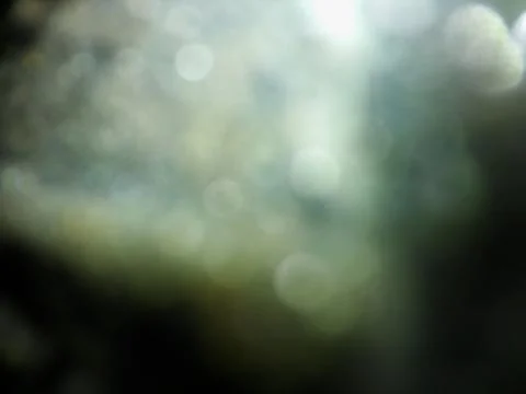 Abstract background with different colours and elements 写真素材