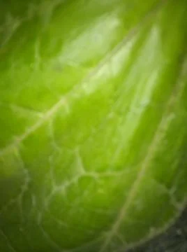 Abstract background with different colours and elements 写真素材
