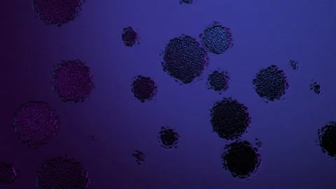 Abstract Background Digital Virus Coloured  14 Stock Footage 142492873