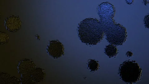 Abstract Background Digital Virus Coloured  15 스톡 동영상 142492888