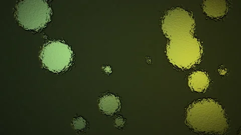 Abstract Background Digital Virus Coloured  20 Stock Footage 142500639