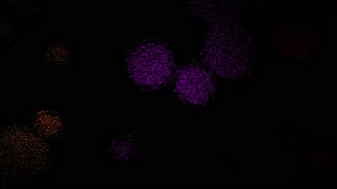 Abstract Background Digital Virus Coloured  32 Stock Footage 142514365