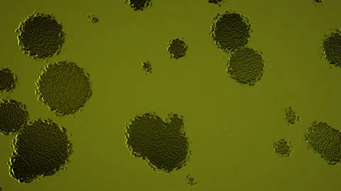 Abstract Background Digital Virus Coloured 39 Stock-Footage 142950773
