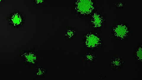 Abstract Background Digital Virus Coloured 38 Stock-Footage 142950913