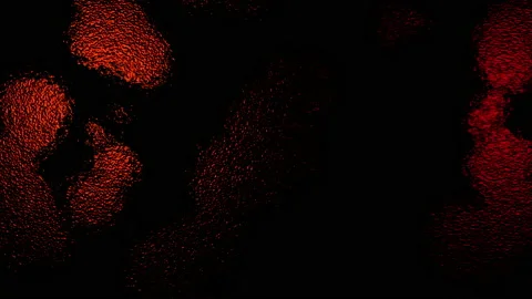 Abstract Background Digital Virus Coloured  35 Stock Footage 142951030