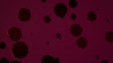 Abstract Background Digital Virus Coloured 43 Stock Footage 142960669