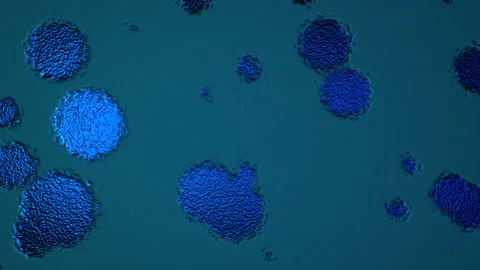 Abstract Background Digital Virus Coloured 44 Stock Footage 142960749