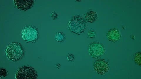 Abstract Background Digital Virus Coloured 45 Vídeos de archivo 142967474