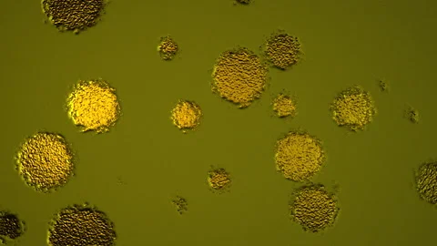 Abstract Background Digital Virus Coloured 47 Stock Footage 142967621