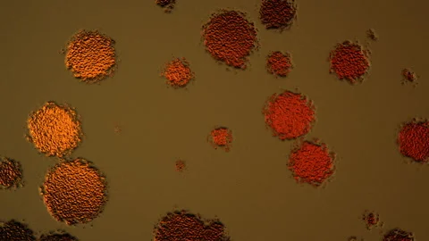 Abstract Background Digital Virus Coloured 48 Video stock 142967755