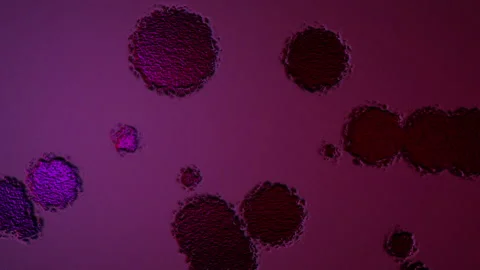 Abstract Background Digital Virus Coloured 51 Stock Footage 142970613