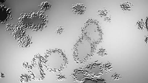 Abstract Background Digital Virus Greyscale 13 Stock Footage 141830509