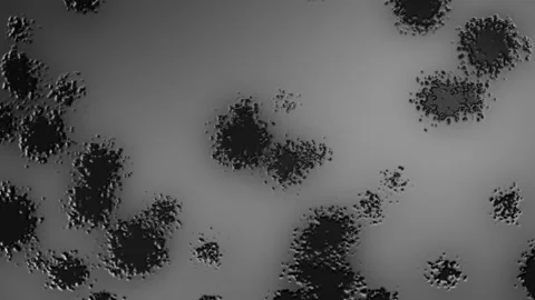 Abstract Background Digital Virus Greyscale 14 Video stock 141830587