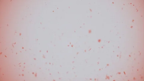 Abstract Background Digital Winter Snow 43 Stock Footage 99467577