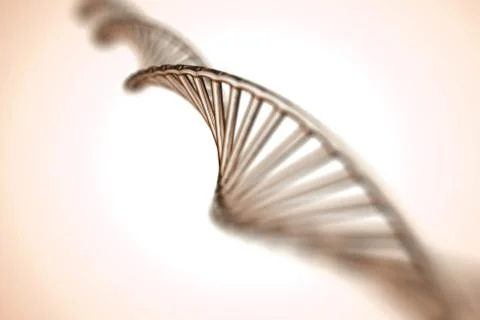 Abstract background . DNA molecule with X chromosomes Stock Photos