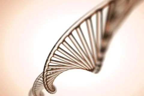 Abstract background . DNA molecule with X chromosomes Stock Photos