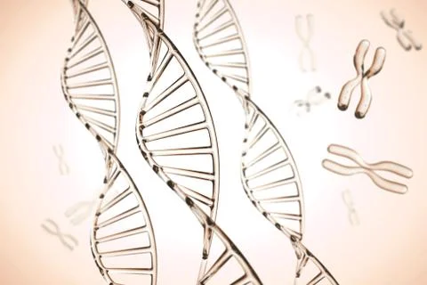 Abstract background . DNA molecule with X chromosomes Stock Photos