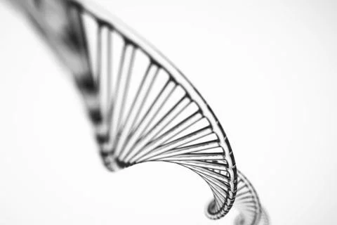 Abstract background . DNA molecule with X chromosomes Stock Photos