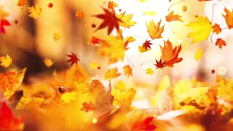Abstract Background of Drifting Fall Foliage Stock Footage 346189987