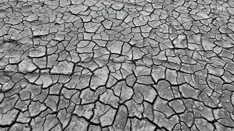 Abstract background of dry and cracked ground texture under drought conditions Vidéo 332368985