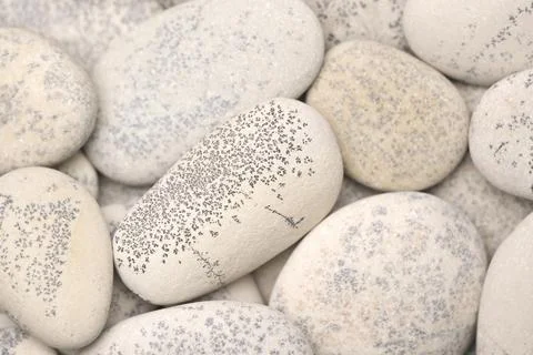 Abstract background with dry round gray reeble stones, gray close-up pebbles  Foto stock