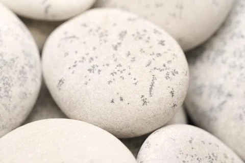 Abstract background with dry round gray reeble stones, gray close-up pebbles  Foto stock