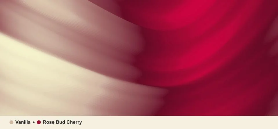 Abstract background with dynamic effect. Motion vector Illustration..Trendy g Stock Illustration