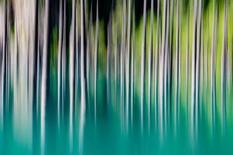 Abstract background of empty trees blurred Stock Photos