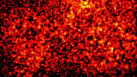 Abstract background Energy particles Group of colorful glowing dots. 4K Видео 287900627