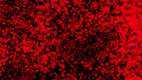 Abstract background Energy particles Group of colorful glowing dots. 4K Stock Footage 287900704