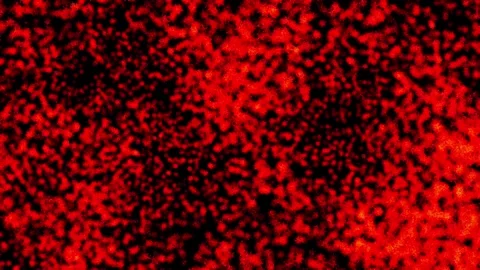 Abstract background Energy particles Group of colorful glowing dots. 4K Stock Footage 287900710