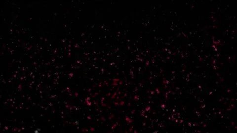 Abstract background Energy particles Group of colorful glowing dots. 4K Stock Footage 287900718