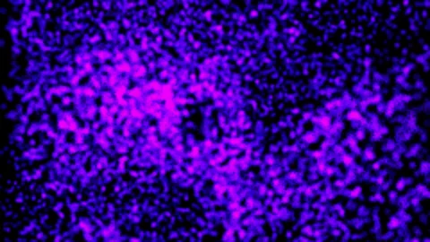 Abstract background Energy particles Group of colorful glowing dots. 4K Stock Footage 287900730