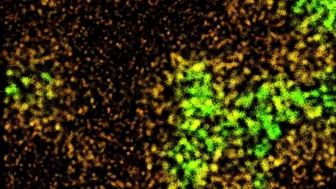 Abstract background Energy particles Group of colorful glowing dots. 4K Stock Footage 287900797