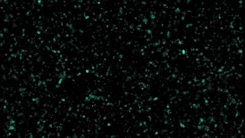 Abstract background Energy particles Group of colorful glowing dots. 4K Stock Footage 287900917