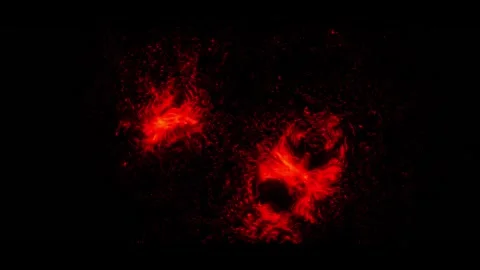 Abstract background Energy particles Group of colorful glowing dots. 4K Stock Footage 287901278