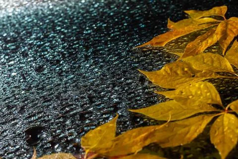 Abstract background fall, glass drops autumn yellow leaves wet october weathe 库存照片