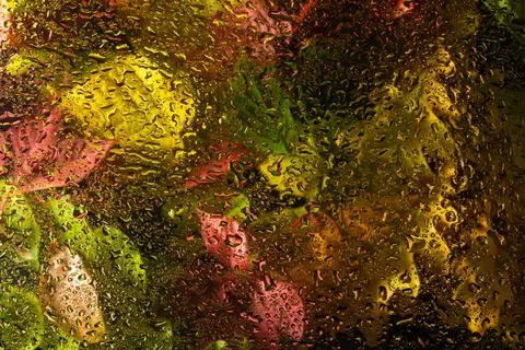 Abstract background fall, glass drops autumn yellow leaves wet october weathe 库存照片