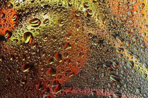 Abstract background fall, glass drops autumn yellow leaves wet october weathe 库存照片