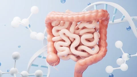Abstract background features human intestines, small intestine, large intes.. Stock Footage 332150791