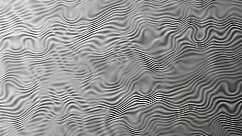 Abstract background featuring a dynamic wavy line pattern in black and white Vidéo 281194791