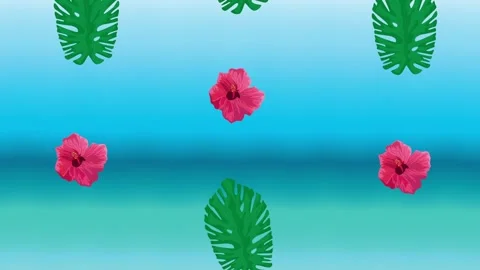 Abstract background featuring falling tropical hibiscus flowers and monster.. Stock Footage 339192921