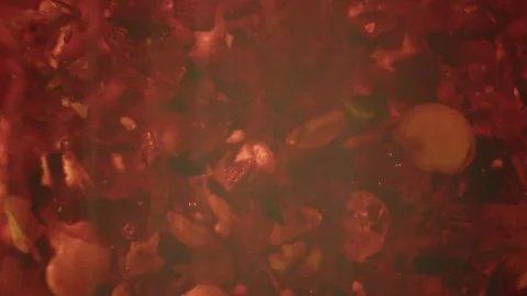 Abstract background featuring red dried herbal tea leaves floating and swir.. Stock Footage 337381270