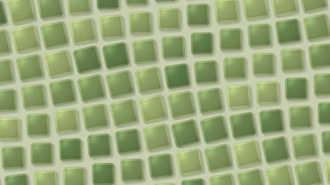 Abstract background featuring a repeating grid pattern of soft green square.. Stock Footage 347244046