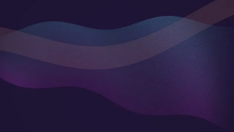 Abstract background featuring smooth flowing curved lines with dark purple .. Stock Footage 347465539