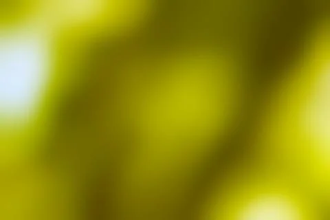 Abstract Background Featuring Soft Blurs and Earthy Yellow Tones Stock Photos