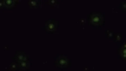 Abstract background featuring soft golden light particles in deep darkness Video stock 335117246