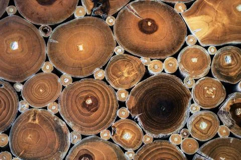 Abstract background featuring tightly packed cross sections of wooden logs .. Stock Photos