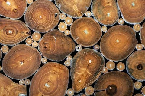 Abstract background featuring tightly packed cross sections of wooden logs .. Stock Photos